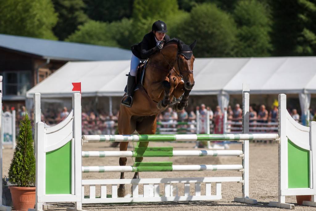 Concours hippique du Mont-de-Coeuve : dates, ambiance et conseils pour profiter de l’événement