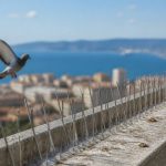 Les solutions de depigeonnage à toulon pour protéger vos bâtiments